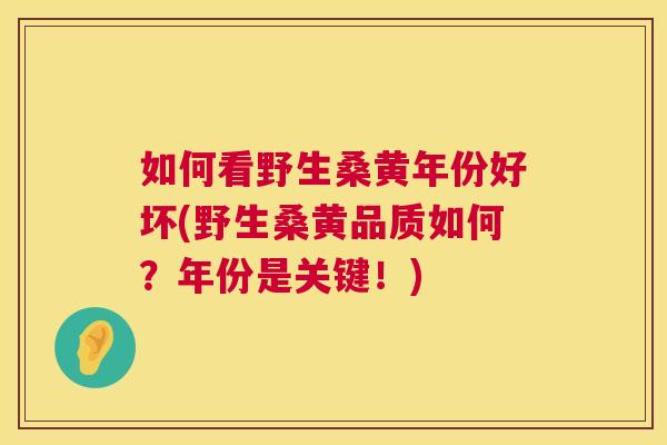 如何看野生桑黄年份好坏(野生桑黄品质如何?年份是关键!) 如何看野生桑黄年份好坏(野生桑黄品质如何?年份是关键!)