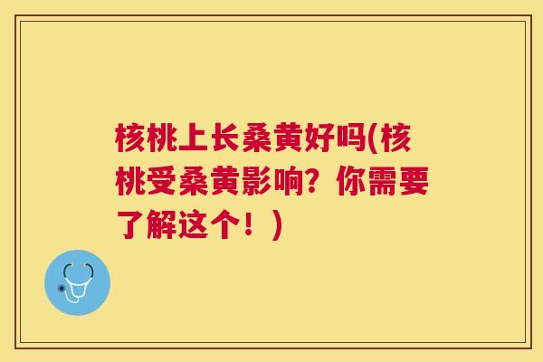 核桃上长桑黄好吗(核桃受桑黄影响?你需要了解这个!) 核桃上长桑黄好吗(核桃受桑黄影响?你需要了解这个!)