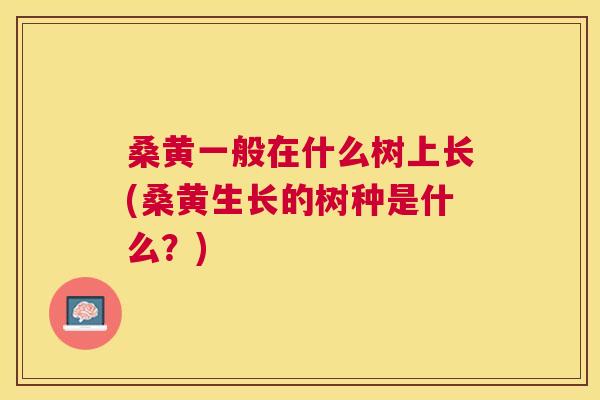 桑黄一般在什么树上长(桑黄生长的树种是什么?) 桑黄一般在什么树上长(桑黄生长的树种是什么?)