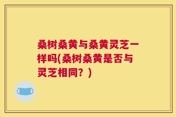 桑树桑黄与桑黄灵芝一样吗(桑树桑黄是否与灵芝相同?) 桑树桑黄与桑黄灵芝一样吗(桑树桑黄是否与灵芝相同?)