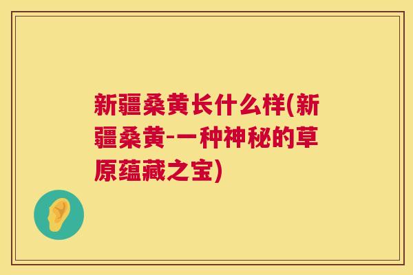 新疆桑黄长什么样(新疆桑黄-一种神秘的草原蕴藏之宝) 新疆桑黄长什么样(新疆桑黄-一种神秘的草原蕴藏之宝)