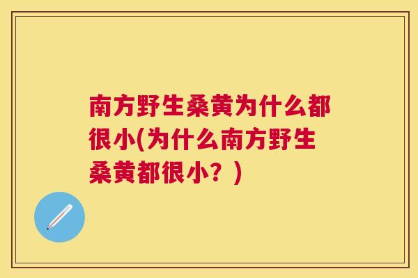 南方野生桑黄为什么都很小(为什么南方野生桑黄都很小?) 南方野生桑黄为什么都很小(为什么南方野生桑黄都很小?)