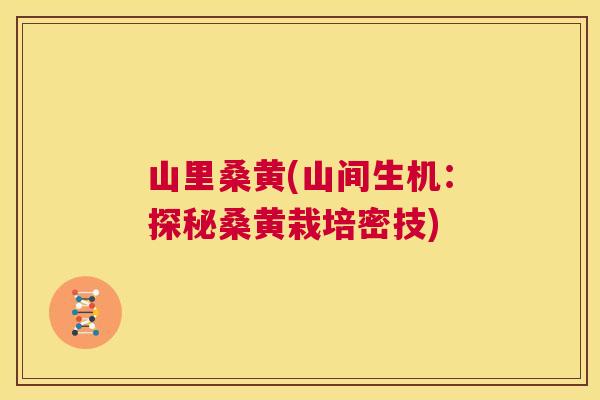 山里桑黄(山间生机:探秘桑黄栽培密技) 山里桑黄(山间生机:探秘桑黄栽培密技)