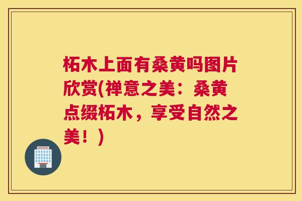 柘木上面有桑黄吗图片欣赏(禅意之美:桑黄点缀柘木,享受自然之美!) 柘木上面有桑黄吗图片欣赏(禅意之美:桑黄点缀柘木,享受自然之美!)