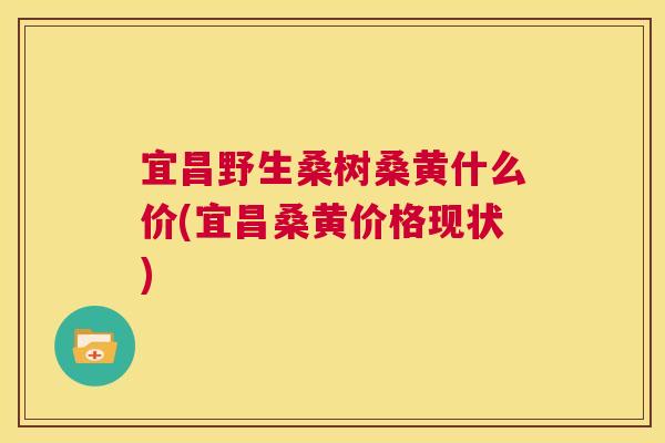 宜昌野生桑树桑黄什么价(宜昌桑黄价格现状) 宜昌野生桑树桑黄什么价(宜昌桑黄价格现状)