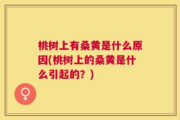 桃树上有桑黄是什么原因(桃树上的桑黄是什么引起的?) 桃树上有桑黄是什么原因(桃树上的桑黄是什么引起的?)