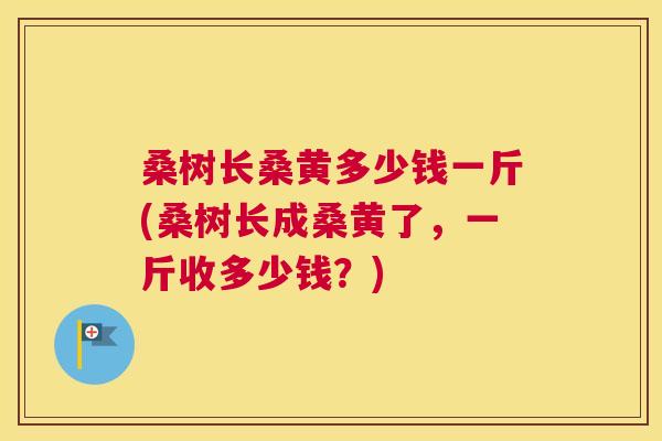 桑树长桑黄多少钱一斤(桑树长成桑黄了,一斤收多少钱?) 桑树长桑黄多少钱一斤(桑树长成桑黄了,一斤收多少钱?)