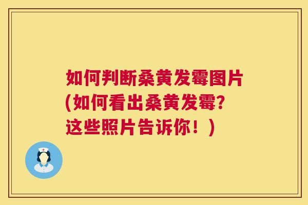 如何判断桑黄发霉图片(如何看出桑黄发霉?这些照片告诉你!) 如何判断桑黄发霉图片(如何看出桑黄发霉?这些照片告诉你!)