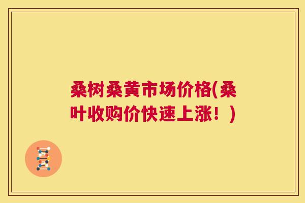 桑树桑黄市场价格(桑叶收购价快速上涨!) 桑树桑黄市场价格(桑叶收购价快速上涨!)