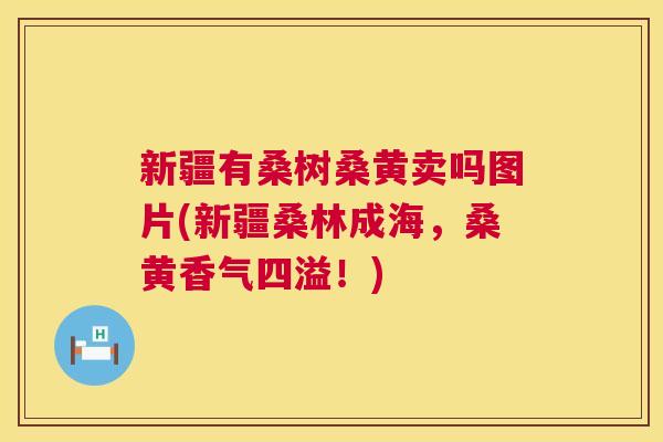 新疆有桑树桑黄卖吗图片(新疆桑林成海,桑黄香气四溢!) 新疆有桑树桑黄卖吗图片(新疆桑林成海,桑黄香气四溢!)
