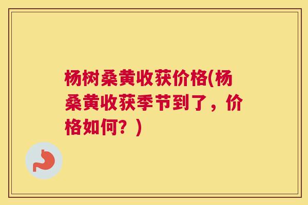 杨树桑黄收获价格(杨桑黄收获季节到了,价格如何?) 杨树桑黄收获价格(杨桑黄收获季节到了,价格如何?)