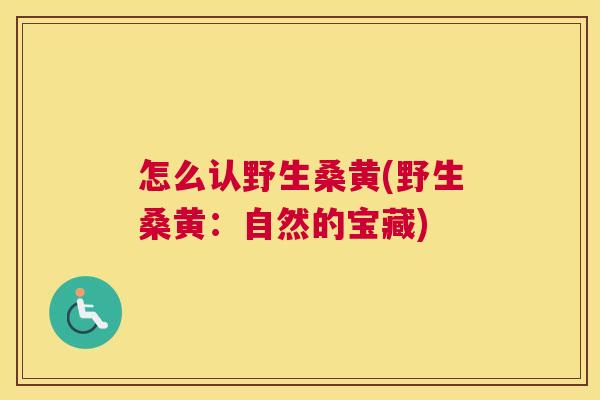 怎么认野生桑黄(野生桑黄:自然的宝藏) 怎么认野生桑黄(野生桑黄:自然的宝藏)