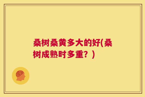 桑树桑黄多大的好(桑树成熟时多重？)