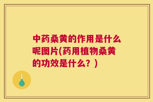 桑黄的作用是什么呢图片(药用植物桑黄的功效是什么?) 桑黄的作用是什么呢图片(药用植物桑黄的功效是什么?)