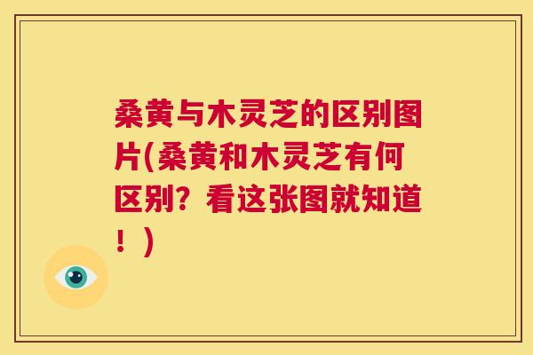 桑黄与木灵芝的区别图片(桑黄和木灵芝有何区别?看这张图就知道!) 桑黄与木灵芝的区别图片(桑黄和木灵芝有何区别?看这张图就知道!)
