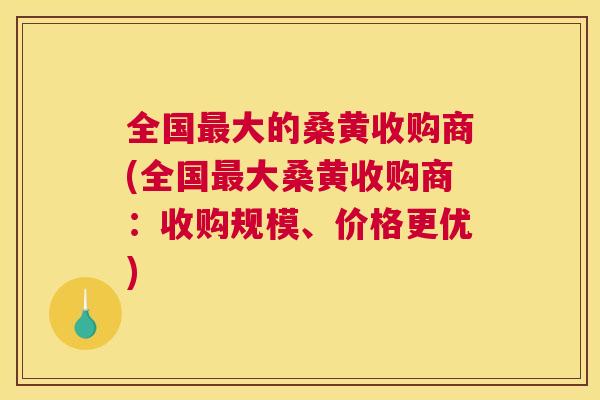 全国大的桑黄收购商(全国大桑黄收购商:收购规模、价格更优) 全国大的桑黄收购商(全国大桑黄收购商:收购规模、价格更优)