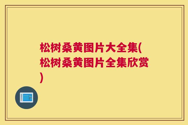 松树桑黄图片大全集(松树桑黄图片全集欣赏) 松树桑黄图片大全集(松树桑黄图片全集欣赏)