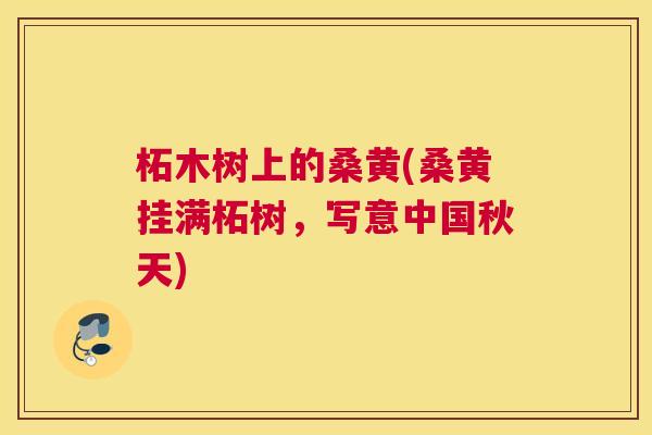 柘木树上的桑黄(桑黄挂满柘树,写意中国秋天) 柘木树上的桑黄(桑黄挂满柘树,写意中国秋天)
