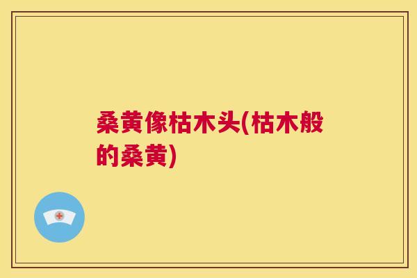桑黄像枯木头(枯木般的桑黄) 桑黄像枯木头(枯木般的桑黄)