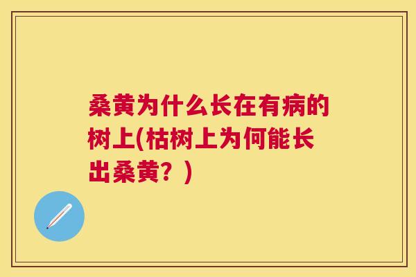 桑黄为什么长在有的树上(枯树上为何能长出桑黄?) 桑黄为什么长在有的树上(枯树上为何能长出桑黄?)