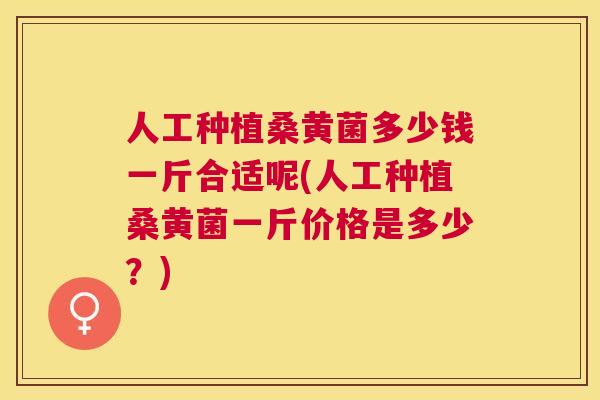 人工种植桑黄菌多少钱一斤合适呢(人工种植桑黄菌一斤价格是多少?) 人工种植桑黄菌多少钱一斤合适呢(人工种植桑黄菌一斤价格是多少?)