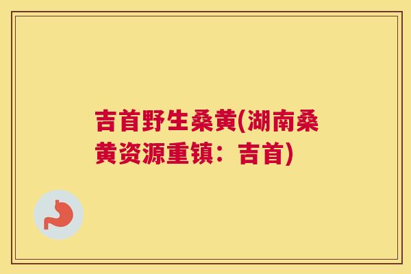 吉首野生桑黄(湖南桑黄资源重镇:吉首) 吉首野生桑黄(湖南桑黄资源重镇:吉首)