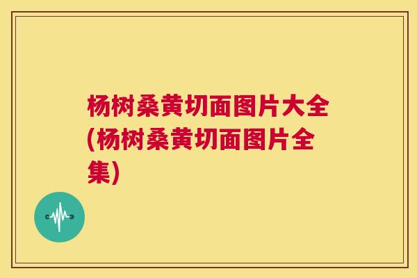 杨树桑黄切面图片大全(杨树桑黄切面图片全集) 杨树桑黄切面图片大全(杨树桑黄切面图片全集)