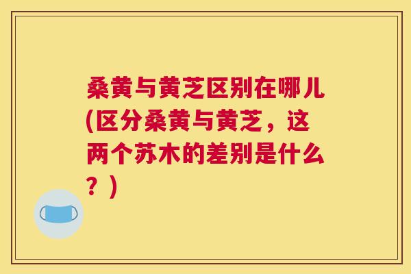 桑黄与黄芝区别在哪儿(区分桑黄与黄芝,这两个苏木的差别是什么?) 桑黄与黄芝区别在哪儿(区分桑黄与黄芝,这两个苏木的差别是什么?)