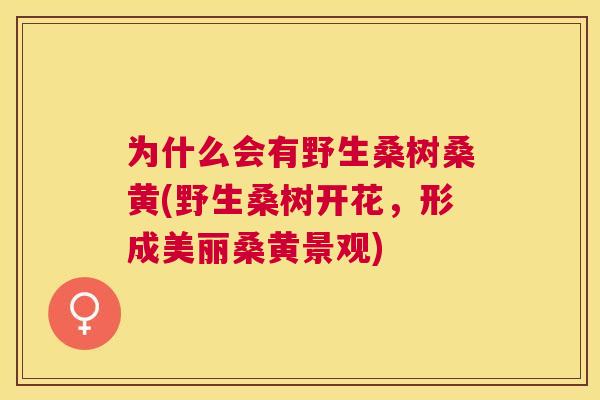 为什么会有野生桑树桑黄(野生桑树开花,形成美丽桑黄景观) 为什么会有野生桑树桑黄(野生桑树开花,形成美丽桑黄景观)