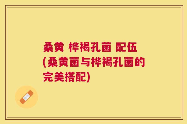桑黄 桦褐孔菌 配伍(桑黄菌与桦褐孔菌的完美搭配) 桑黄 桦褐孔菌 配伍(桑黄菌与桦褐孔菌的完美搭配)