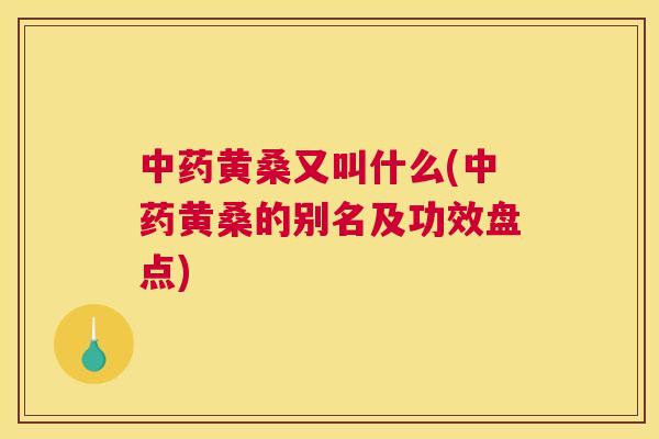 黄桑又叫什么(黄桑的别名及功效盘点) 黄桑又叫什么(黄桑的别名及功效盘点)