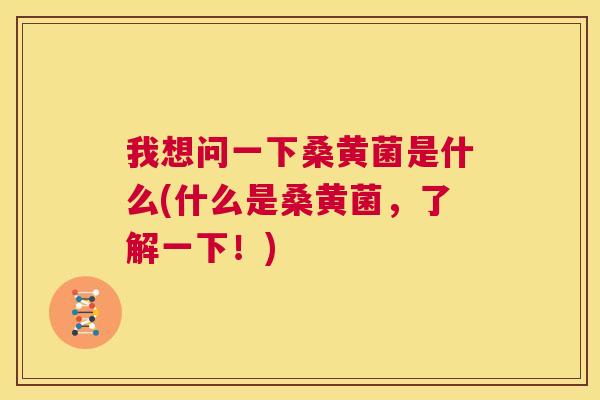 我想问一下桑黄菌是什么(什么是桑黄菌,了解一下!) 我想问一下桑黄菌是什么(什么是桑黄菌,了解一下!)