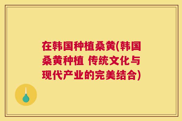 在韩国种植桑黄(韩国桑黄种植 传统文化与现代产业的完美结合) 在韩国种植桑黄(韩国桑黄种植 传统文化与现代产业的完美结合)