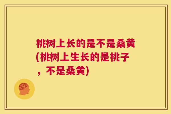 桃树上长的是不是桑黄(桃树上生长的是桃子,不是桑黄) 桃树上长的是不是桑黄(桃树上生长的是桃子,不是桑黄)