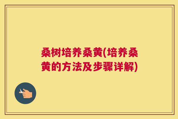桑树培养桑黄(培养桑黄的方法及步骤详解)