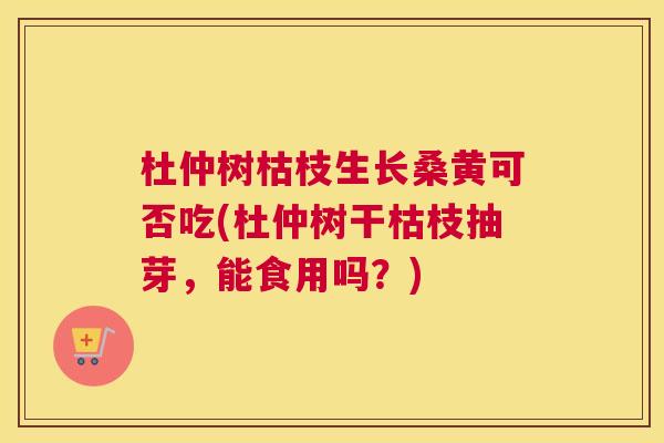 杜仲树枯枝生长桑黄可否吃(杜仲树干枯枝抽芽,能食用吗?) 杜仲树枯枝生长桑黄可否吃(杜仲树干枯枝抽芽,能食用吗?)