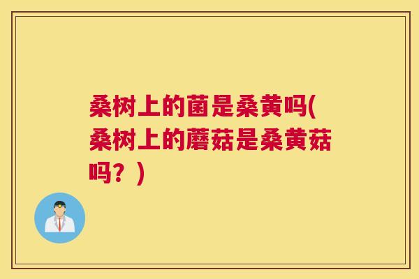 桑树上的菌是桑黄吗(桑树上的蘑菇是桑黄菇吗?) 桑树上的菌是桑黄吗(桑树上的蘑菇是桑黄菇吗?)