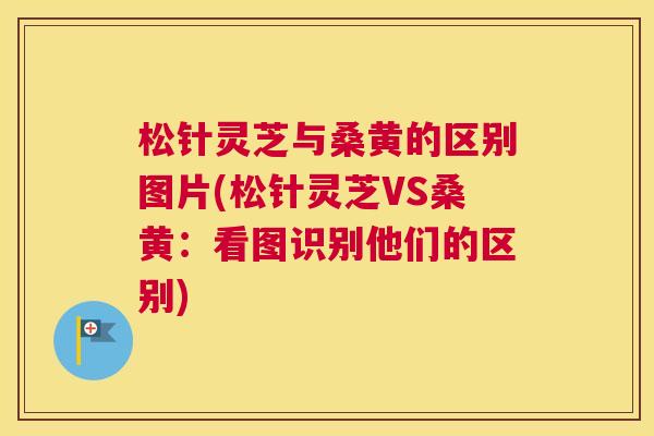 松针灵芝与桑黄的区别图片(松针灵芝VS桑黄:看图识别他们的区别) 松针灵芝与桑黄的区别图片(松针灵芝VS桑黄:看图识别他们的区别)