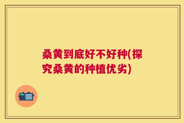 桑黄到底好不好种(探究桑黄的种植优劣) 桑黄到底好不好种(探究桑黄的种植优劣)