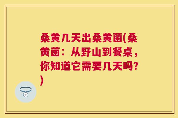 桑黄几天出桑黄菌(桑黄菌:从野山到餐桌,你知道它需要几天吗?) 桑黄几天出桑黄菌(桑黄菌:从野山到餐桌,你知道它需要几天吗?)