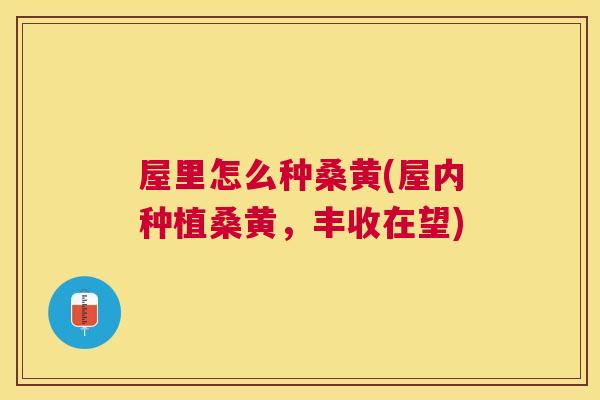 屋里怎么种桑黄(屋内种植桑黄,丰收在望) 屋里怎么种桑黄(屋内种植桑黄,丰收在望)
