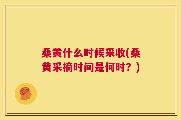 桑黄什么时候采收(桑黄采摘时间是何时?) 桑黄什么时候采收(桑黄采摘时间是何时?)
