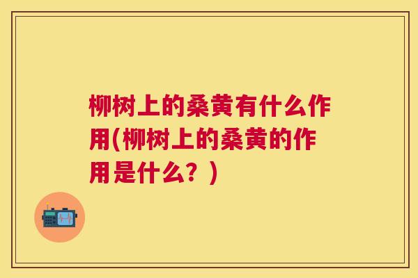 柳树上的桑黄有什么作用(柳树上的桑黄的作用是什么?) 柳树上的桑黄有什么作用(柳树上的桑黄的作用是什么?)