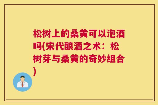 松树上的桑黄可以泡酒吗(宋代酿酒之术:松树芽与桑黄的奇妙组合) 松树上的桑黄可以泡酒吗(宋代酿酒之术:松树芽与桑黄的奇妙组合)
