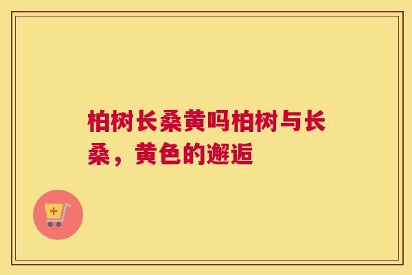 柏树长桑黄吗柏树与长桑,黄色的邂逅 柏树长桑黄吗柏树与长桑,黄色的邂逅