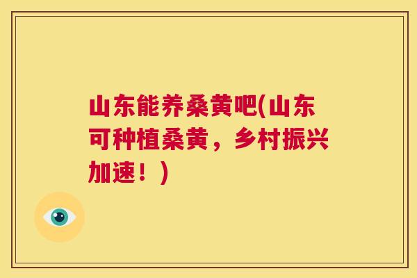 山东能养桑黄吧(山东可种植桑黄,乡村振兴加速!) 山东能养桑黄吧(山东可种植桑黄,乡村振兴加速!)