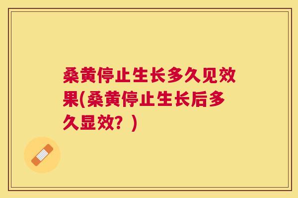 桑黄停止生长多久见效果(桑黄停止生长后多久显效?) 桑黄停止生长多久见效果(桑黄停止生长后多久显效?)