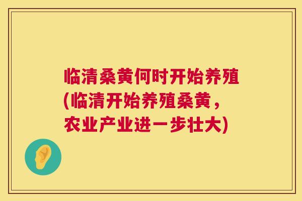 临清桑黄何时开始养殖(临清开始养殖桑黄,农业产业进一步壮大) 临清桑黄何时开始养殖(临清开始养殖桑黄,农业产业进一步壮大)
