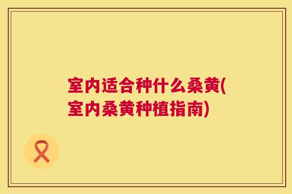 室内适合种什么桑黄(室内桑黄种植指南) 室内适合种什么桑黄(室内桑黄种植指南)