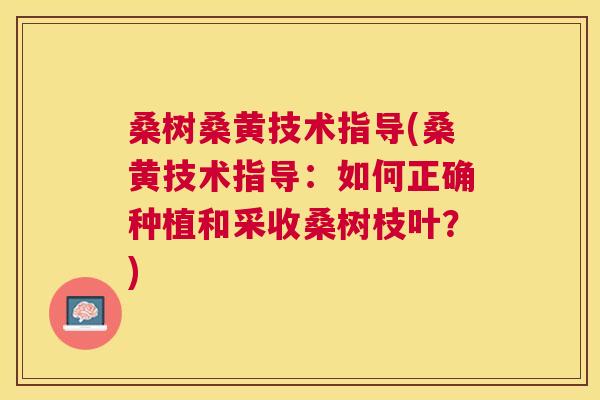 桑树桑黄技术指导(桑黄技术指导:如何正确种植和采收桑树枝叶?) 桑树桑黄技术指导(桑黄技术指导:如何正确种植和采收桑树枝叶?)